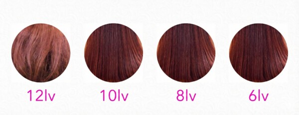 イルミナカラー ブロッサムの明るさ（トーン）別カラーチャート。12lv、10lv、8lv、6lvの4段階の仕上がりサンプルが並んでいます。左側の12レベルは透明感のある鮮やかなチェリーピンク、右側の6レベルはブルーが潜む深みのあるベリーブラウンへと、明るさによって色味が落ち着いていく様子を比較しています。