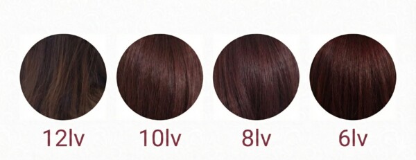 イルミナカラー トワイライトの明るさ（レベル）別カラーチャート。12lv、10lv、8lv、6lvの4段階の仕上がりサンプルが並んでいます。左側の12レベルは透明感の際立つ明るいピンクパープル、右側の6レベルに近づくほど深みのあるバイオレットブラウンへと変化する様子を比較した図解です。