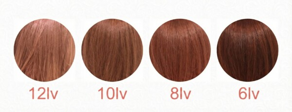 イルミナカラー コーラルの明るさ別カラーチャート。12レベル、10レベル、8レベル、6レベルの4段階の毛束サンプルが並んでいます。左側の12レベルは透明感のある明るいピンク、右にいくほど深みが増し、6レベルでは落ち着いた暗めのコーラルブラウンの色味になる様子を比較しています。