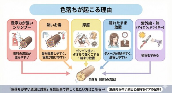 ヘアカラーが髪を染める仕組みを解説する図解。黒髪からメラニン色素を削って「脱色（ブリーチ方向）」し髪の土台を明るくする工程と、髪の中で色を出す「発色（染料）」の2段階をイラストで示しています。「色落ちは自然現象」としつつも、毎日のケアで「落ちるスピード」は変えられるという重要メッセージを記述。