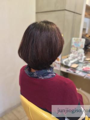 haircolor_blueviolet6lv_backstyle haircolor_blueviolet6lv_backstyle