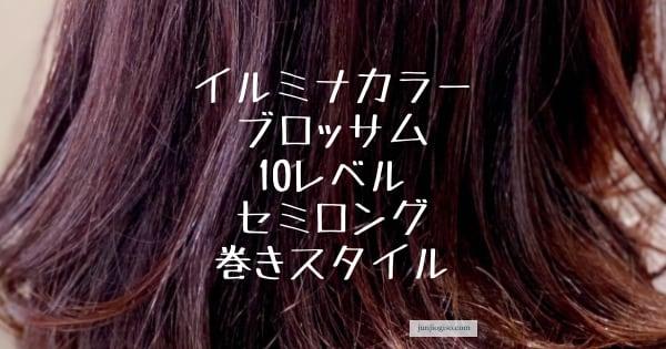 イルミナカラーブロッサム セミロング巻きスタイル きれいな髪色してますか イルミナカラーブロッサム セミロング巻きスタイル きれいな髪色してますか