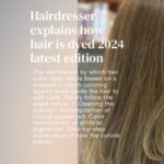 ヘアカラーの髪を染める仕組み美容師が説明しましょう2024最新版