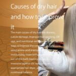 Causes of dry hair