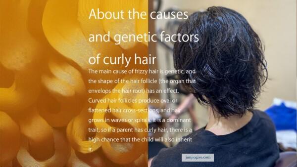 genetic factors of curly hair