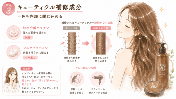 「オッジィオットがおすすめな理由3」として「キューティクル補修成分が色を内部に閉じ込める」働きを解説した図解画像です。美しい髪の女性と商品のイラストと共に、加水分解ケラチン等の補修成分を紹介。ダメージ毛が補修されカラー色素の流出を防ぐメカニズムや、摩擦・ドライヤー熱からのダメージ軽減効果について断面図で分かりやすく説明しています。