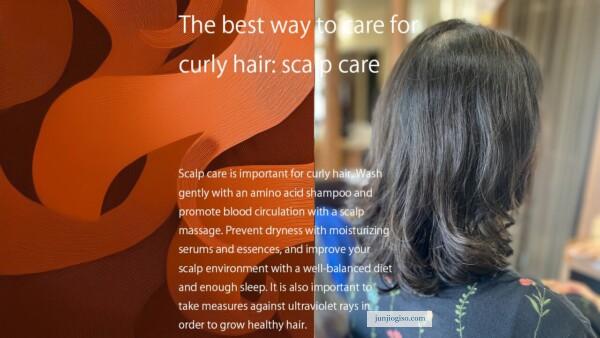 The best way to care for curly hair: scalp care