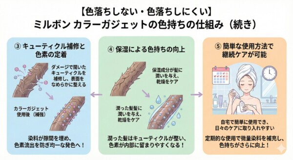 ミルボン「カラーガジェット」の色持ちの仕組み解説（続き）。ダメージで開いたキューティクルを補修し、染料が隙間を埋めて色素流出を防ぐプロセスや、保湿成分が潤いを与えて乾燥をケアする効果を図解。さらに、自宅で簡単に定期使用できる習慣化のしやすさを紹介し、多角的にカラー持続を向上させるメリットを説明しています。