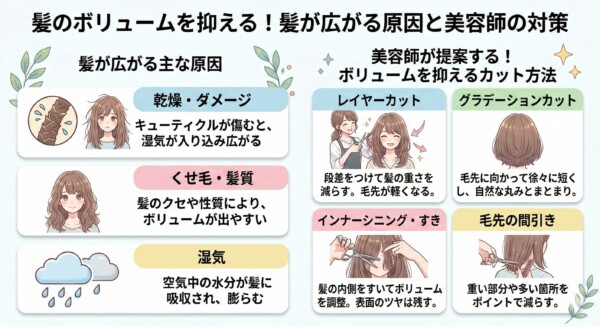 「髪のボリュームを抑える！髪が広がる原因と美容師の対策」を解説した図解。左側に原因（乾燥・ダメージ、くせ毛、湿気）をイラスト付きで紹介。右側に美容師の対策カット（レイヤー、グラデーション、インナーシニング、毛先の間引き）をイラストと説明文でまとめており、髪の広がりを抑えるメカニズムを視覚的に伝えています。