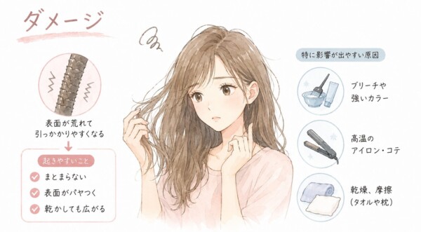 「ダメージ」による髪の広がりを解説した図解です。中央に、傷んでパサついた髪に悩む女性のイラストを配置。左側では髪の毛のイラストを用いて「表面が荒れて引っかかりやすくなる」とし、起きやすいこととして「まとまらない」「表面がパヤつく」「乾かしても広がる」の3点を挙げています。右側には「特に影響が出やすい原因」として、「ブリーチや強いカラー」「高温のアイロン・コテ」「乾燥、摩擦(タオルや枕)」の3つをアイコンとともに解説しています。