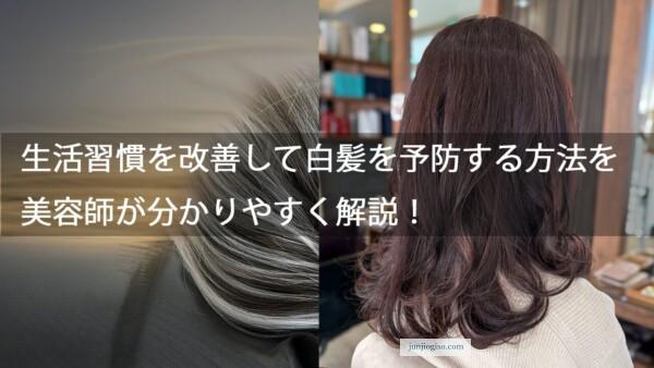 生活習慣を改善して白髪を予防する方法を美容師が分かりやすく解説!