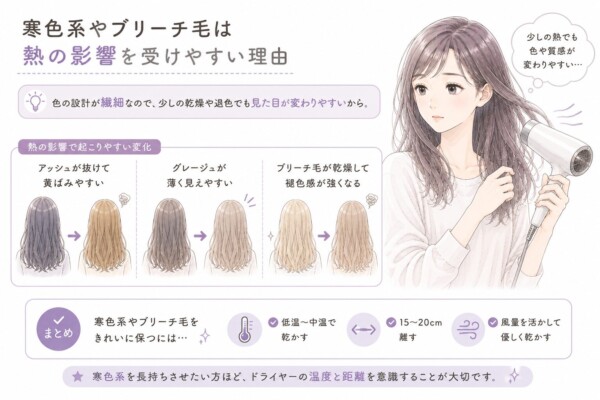 「寒色系やブリーチ毛は熱の影響を受けやすい理由」を解説した図解です。心配そうな表情でドライヤーを使うアッシュ系カラーの女性のイラストを中心に配置。影響を受けやすい理由として「色の設計が繊細なので、少しの乾燥や退色でも見た目が変わりやすいから」と説明しています。下部では熱の影響で起こりやすい変化として、「アッシュが抜けて黄ばみやすい」「グレージュが薄く見えやすい」「ブリーチ毛が乾燥して褪色感が強くなる」の3ケースをビフォーアフターのイラストで紹介。まとめとして、きれいに保つには「低温〜中温で乾かす」「15〜20cm離す」「風量を活かして優しく乾かす」ことが重要であり、寒色系を長持ちさせたい方ほど温度と距離の意識が大切だと締めくくっています。