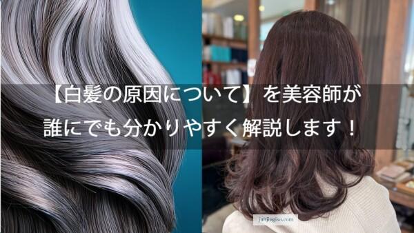【白髪の原因について】を美容師が誰にでも分かりやすく解説します!