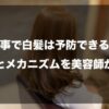 食事で白髪は予防できる？栄養とメカニズムを美容師が解説