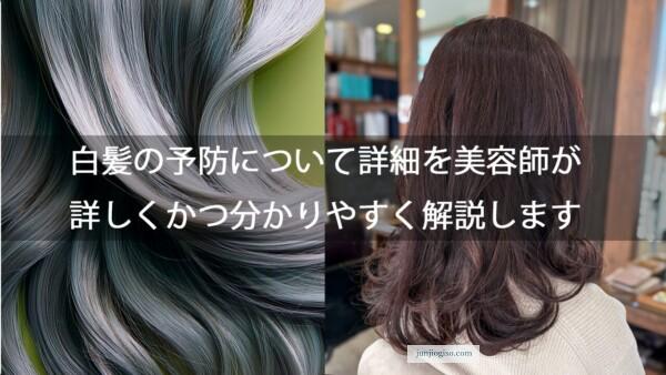 白髪の予防について詳細を美容師が詳しくかつ分かりやすく解説します