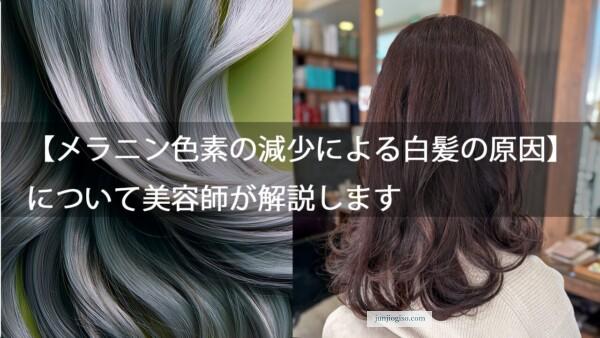 【メラニン色素の減少による白髪の原因】について美容師が解説します