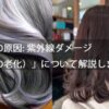 「白髪の原因: 紫外線ダメージ（頭皮の老化）」について解説します