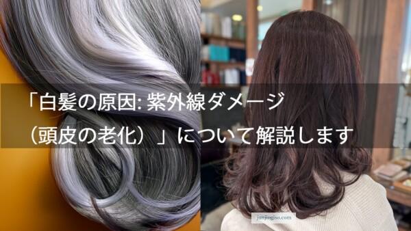 「白髪の原因: 紫外線ダメージ（頭皮の老化）」について解説します