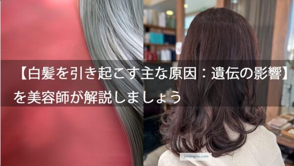 【白髪を引き起こす主な原因：遺伝の影響】を美容師が解説しましょう