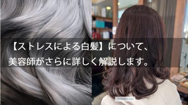 【ストレスによる白髪】について、美容師がさらに詳しく解説します。