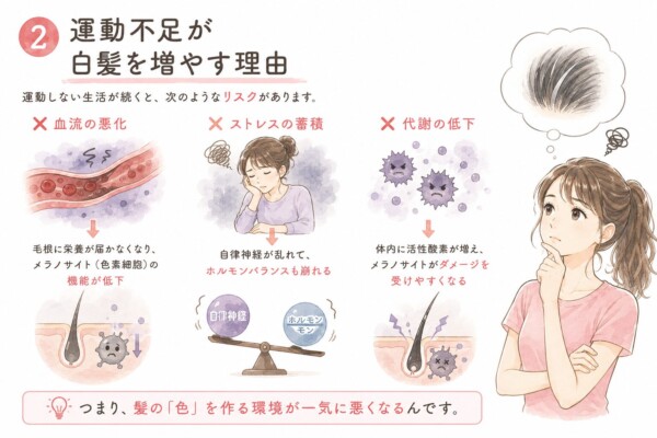 「運動不足が白髪を増やす理由」を解説した図解です。右側には白髪を思い浮かべて悩む女性のイラストを配置。運動しない生活が続くリスクとして、「血流の悪化」による色素細胞の機能低下、「ストレスの蓄積」による自律神経やホルモンバランスの乱れ、「代謝の低下」による活性酸素の増加の3点を挙げ、髪の色を作る環境が一気に悪化することをイラストで説明しています。