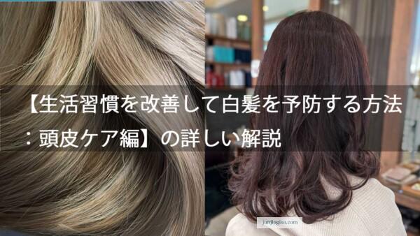 【生活習慣を改善して白髪を予防する方法：頭皮ケア編】の詳しい解説