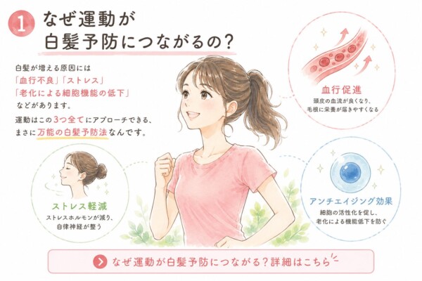 「なぜ運動が白髪予防につながるの?」と題された図解画像です。中央にはジョギングポーズをとる笑顔の女性が描かれています。白髪が増える原因である「血行不良」「ストレス」「細胞機能の低下」に対し、運動は「血行促進」「ストレス軽減」「アンチエイジング効果」の3方向からアプローチできる万能の予防法だと解説しています。