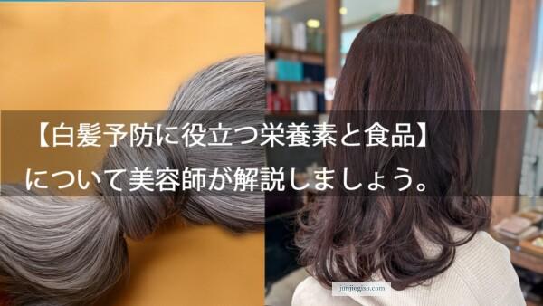 「白髪を予防するための食事のポイント」について美容師が解説します