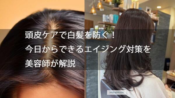 頭皮ケアで白髪を防ぐ！今日からできるエイジング対策を美容師が解説