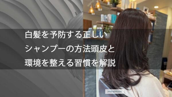 白髪を予防する正しいシャンプーの方法頭皮と環境を整える習慣を解説