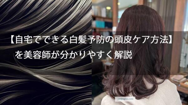 【自宅でできる白髪予防の頭皮ケア方法】を美容師が分かりやすく解説