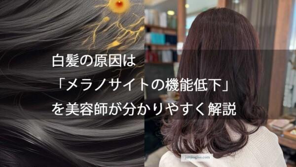 白髪の原因は「メラノサイトの機能低下」