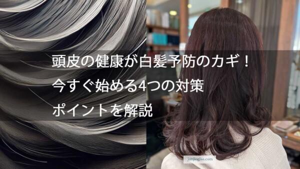 頭皮の健康が白髪予防