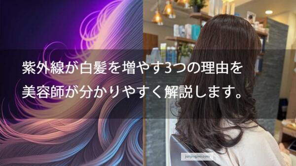 紫外線が白髪を増やす3つの理由を美容師が分かりやすく解説します。