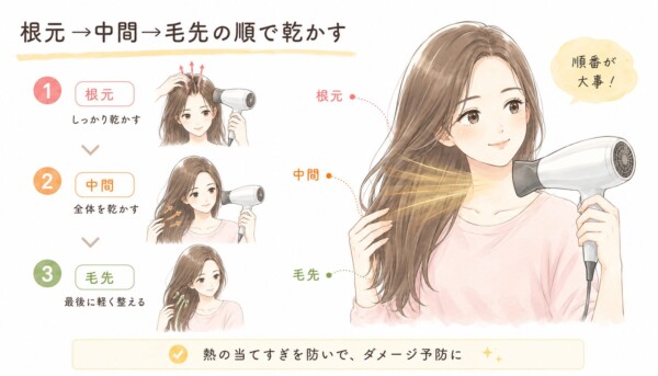 「根元→中間→毛先の順で乾かす」と題された図解画像です。ドライヤーで髪を乾かす笑顔の女性のイラストとともに、正しい乾かし方の順番を解説しています。1.根元をしっかり乾かす、2.中間の全体を乾かす、3.毛先は最後に軽く整えるという3ステップの手順を守ることで、熱の当てすぎを防ぎ、髪のダメージ予防につながると説明しています。
