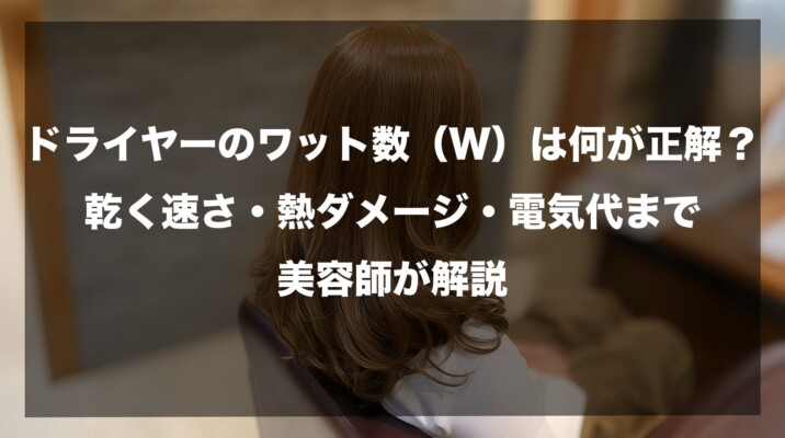 ドライヤーのワット数（W）は何が正解？乾く速さ・熱ダメージ・電気代まで美容師が解説したイメージ