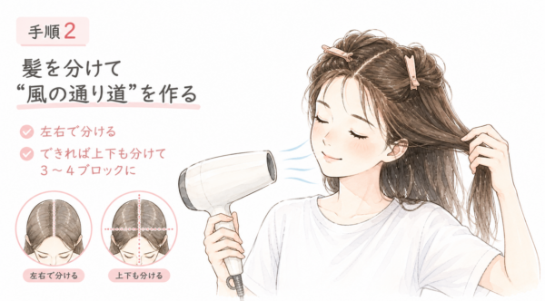 「手順2 髪を分けて“風の通り道”を作る」という見出しで、髪を速く乾かすためのブロッキング手順を解説した図解。ヘアクリップで髪をとめ、ドライヤーの風を通す笑顔の女性を描いています。髪を左右に分ける基本から、さらに上下も分けて3〜4ブロックにするポイントを、図とテキストでわかりやすく説明しています。