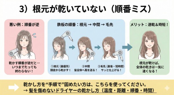髪を乾かす正しい順番を解説した図解。悪い例として「毛先から乾かす逆の順番」を挙げ、鉄板の順番として①根元（最優先）、②中間、③毛先（最後・短時間）のステップをイラストで紹介しています。根元が乾けば全体の乾燥が一気に速くなるというメリットを伝え、速乾と時短を実現するテクニックを説明しています。