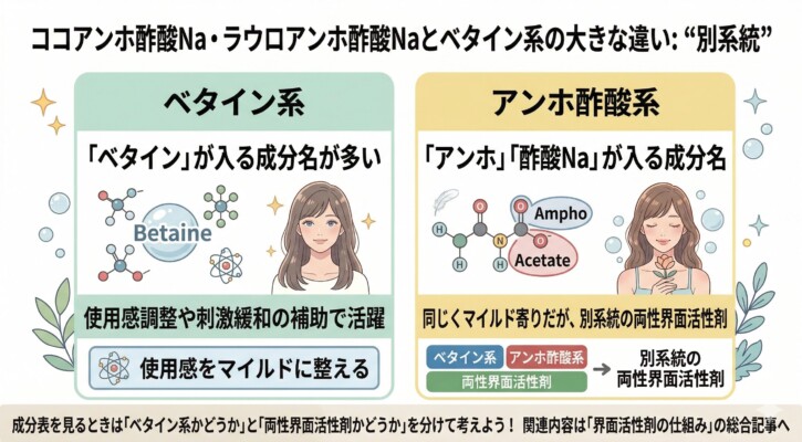 ベタイン系界面活性剤とアンホ酢酸系の違いを解説した図解。ベタイン系は成分名に「ベタイン」を含み、使用感調整や刺激緩和の補助剤として活躍します。一方、アンホ酢酸系(ココアンホ酢酸Naなど)は別系統の両性界面活性剤であり、同様にマイルドな性質を持ちます。成分表を読む際に、これらが「別系統の成分」であることを理解するための比較イラストです。