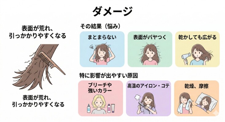 「ダメージ」による髪の広がりを解説した図解。左側にキューティクルが剥がれ表面が荒れて櫛が引っかかる様子をイラストで描写。右側には、その結果起こる悩み（まとまらない、パヤつく、乾かしても広がる）と、主な原因（ブリーチ・カラー、高温のアイロン、乾燥・摩擦）を6つのパネルで分かりやすくまとめています。