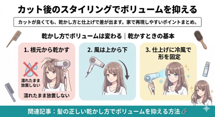 「カット後のスタイリングでボリュームを抑える」方法を解説した図解。家で再現しやすい乾かし方の基本として、①濡れたまま放置せず根元から乾かす、②ドライヤーの風は上から下へ当てる、③仕上げに冷風で形を固定する、という3ステップをイラストで紹介。下部には正しい乾かし方の関連記事へのリンクも示されています。