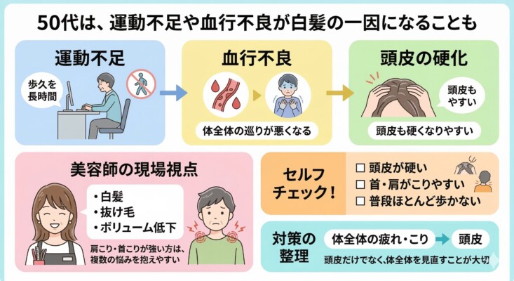 50代の白髪と運動不足・血行不良の関係を解説した図解。長時間のデスクワークが血行不良を招き、頭皮の硬化につながるプロセスをイラストで示しています。美容師の視点として、肩こり・首こりが強い人は白髪や抜け毛の悩みを抱えやすいと指摘。頭皮の硬さや歩行習慣を振り返るセルフチェック項目と、体全体の疲れを見直す対策の重要性をまとめています。