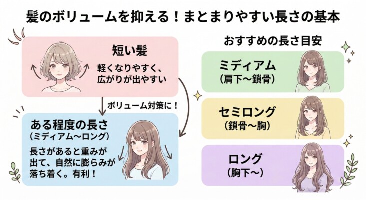 「髪のボリュームを抑える！まとまりやすい長さの基本」を解説した図解。左側では、短い髪は軽くなりやすく広がりやすい一方で、ミディアムからロング程度の長さがあると髪の重みで自然に膨らみが落ち着く仕組みを比較。右側には、おすすめの長さ目安として「ミディアム（肩下〜鎖骨）」「セミロング（鎖骨〜胸）」「ロング（胸下〜）」をイラスト付きで紹介しています。