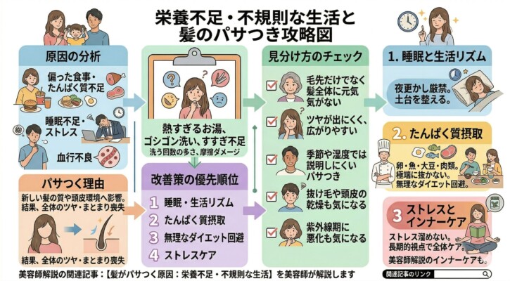 「栄養不足・不規則な生活と髪のパサつき攻略図」と題した図解画像。偏った食事、睡眠不足、ストレスが髪に与える影響を分析し、抜け毛やツヤ不足などの見分け方をチェックリスト形式で提示。改善策として睡眠の質の向上、たんぱく質摂取、無理なダイエットの回避、ストレスケアの4つの優先順位をイラストで詳しく解説しています。